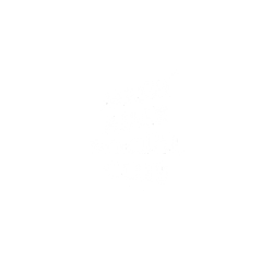 MESH ADER SOCIAL CLUB